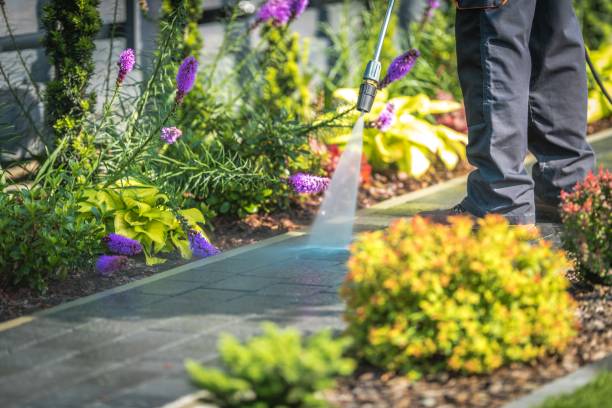 Best Roof Washing  in Palisades Park, NJ