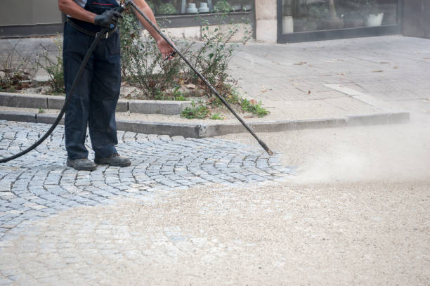 Pre-Holiday Cleaning in Palisades Park, NJ